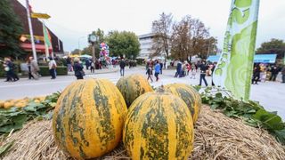 12. Bučijada u Ivanić-Gradu. Photo: Igor Soban/PIXSELL 12. Bučijada u Ivanić-Gradu. Photo: Igor Soban/PIXSELL