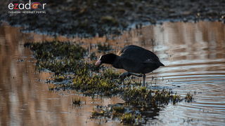 Nedjeljno svitanje na Vranskom jezeru Nedjeljno svitanje na Vranskom jezeru