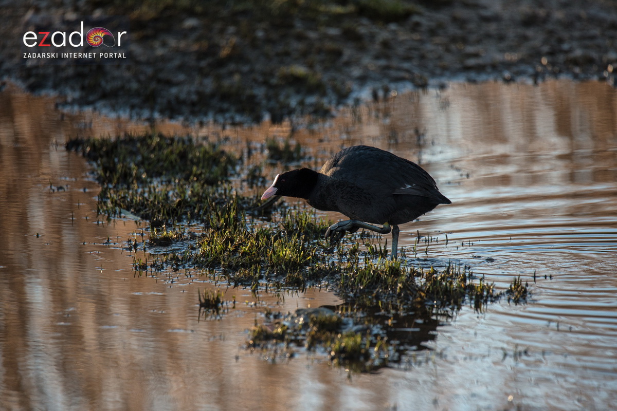 Nedjeljno svitanje na Vranskom jezeru Nedjeljno svitanje na Vranskom jezeru