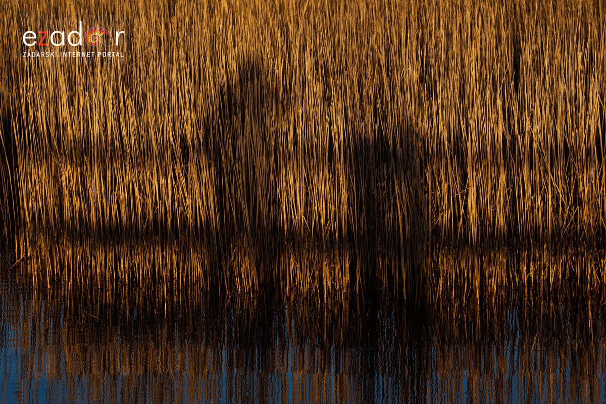 Nedjeljno svitanje na Vranskom jezeru Nedjeljno svitanje na Vranskom jezeru