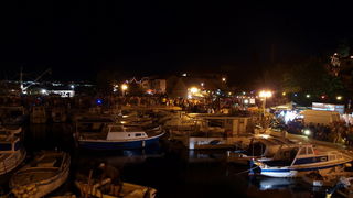 Kualjska tunuara 2010, Foto: Vedran Penga