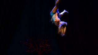 Circo Art u HNK Zadar izveo predstavu “Povratak u prirodu”