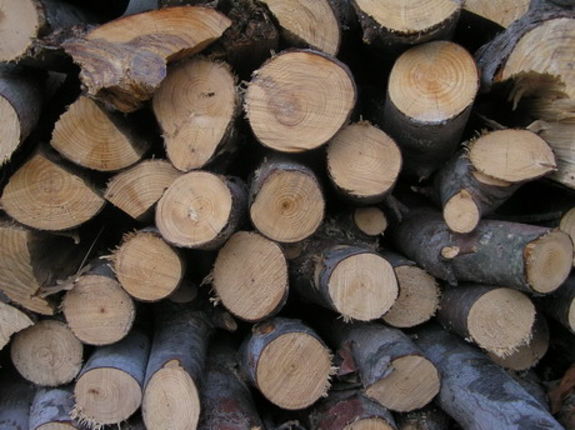 Drva/Foto: ssknezbranimir.hr Drva/Foto: ssknezbranimir.hr