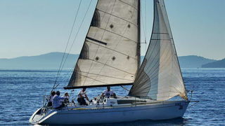 “Zadarska koka”: Regata za sve generacije snimljena iz “koke” “Zadarska koka”: Regata za sve generacije snimljena iz “koke”