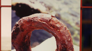 Izložba fotografija Anđele Horvat (foto: Saša Čuka) Izložba fotografija Anđele Horvat (foto: Saša Čuka)