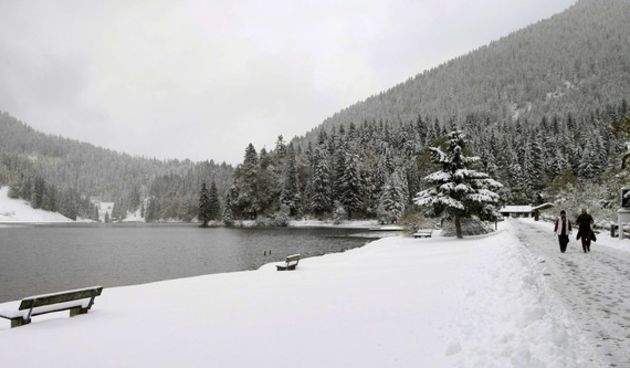 Snijeg (foto: daylife.com)