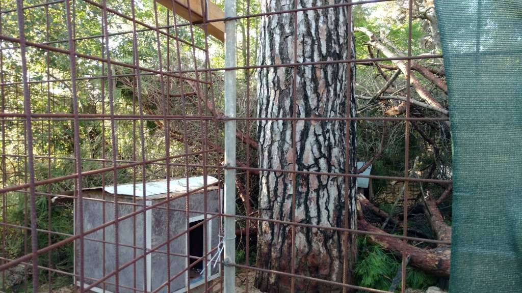 Nevera učinila veliku štetu i zadarskom azilu Nevera učinila veliku štetu i zadarskom azilu