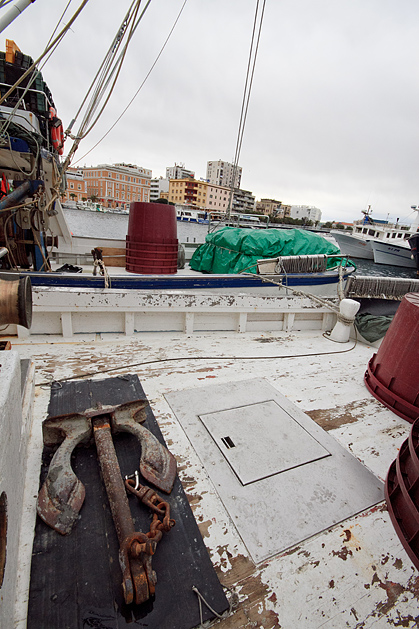 Ribarice u zadarskoj luci, Foto: Leo Banić