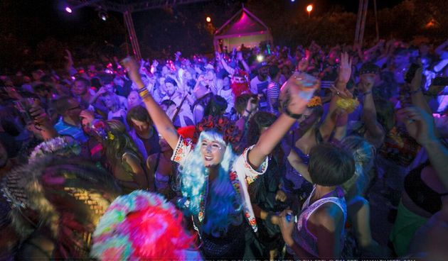 The Garden by Tim Ertl