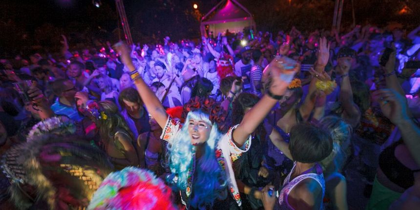 The Garden by Tim Ertl The Garden by Tim Ertl