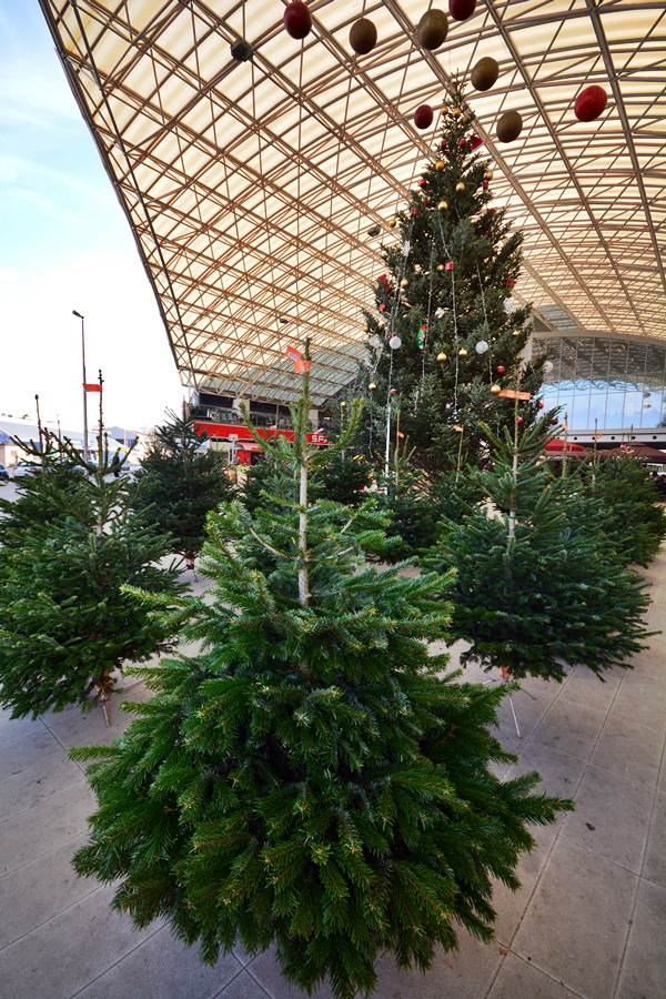 City Gallerija priredila Božićni sajam, Foto: Iva Perinčić City Gallerija priredila Božićni sajam, Foto: Iva Perinčić