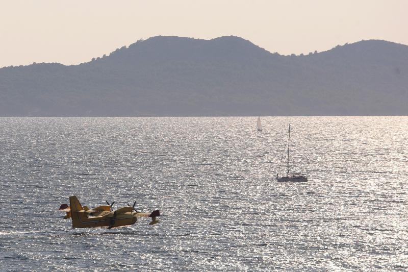 Požar na Plovaniji 11. kolovoza 2013. Foto: Željko Mršić/PIXSELL Požar na Plovaniji 11. kolovoza 2013. Foto: Željko Mršić/PIXSELL