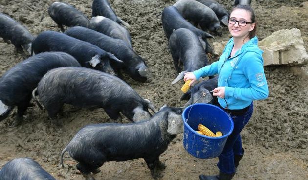 Martina Petrović, crne svinje,  foto: Davor Javorovic/PIXSELL