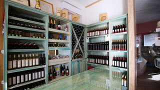 Mediji i uzvanici posjetili Polaču, Vransko jezero i Maškovića han