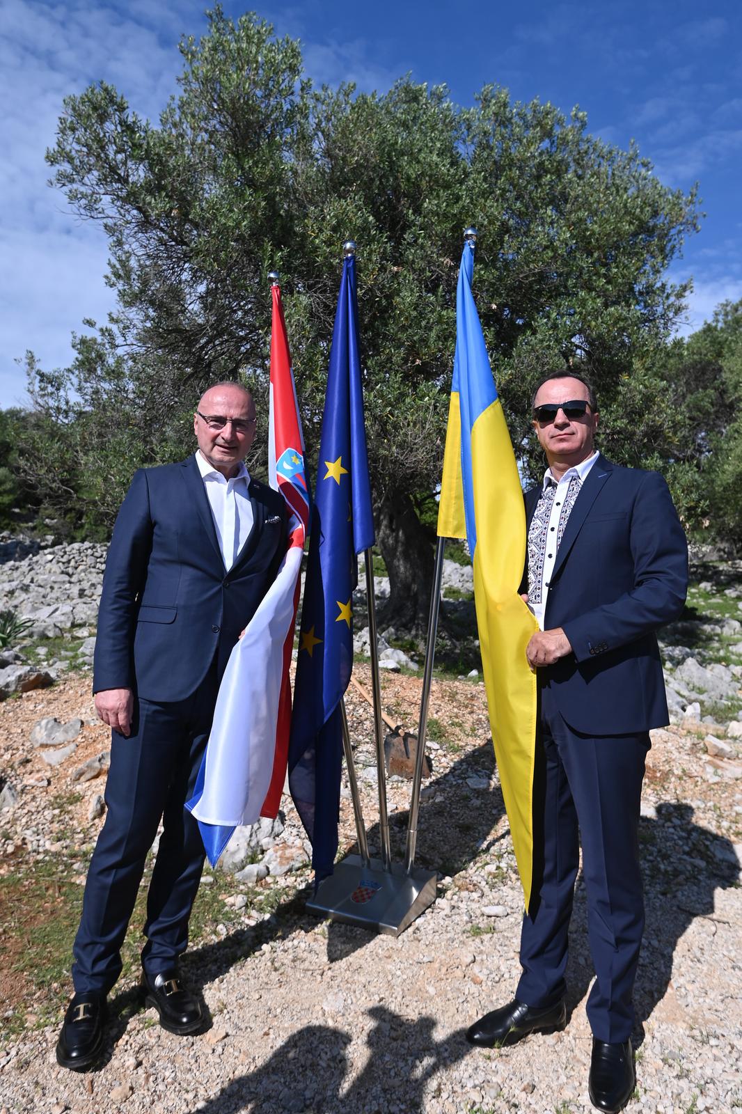 Grlić Radman i veleposlanik Ukrajine posadili maslinu u Perivoju mira