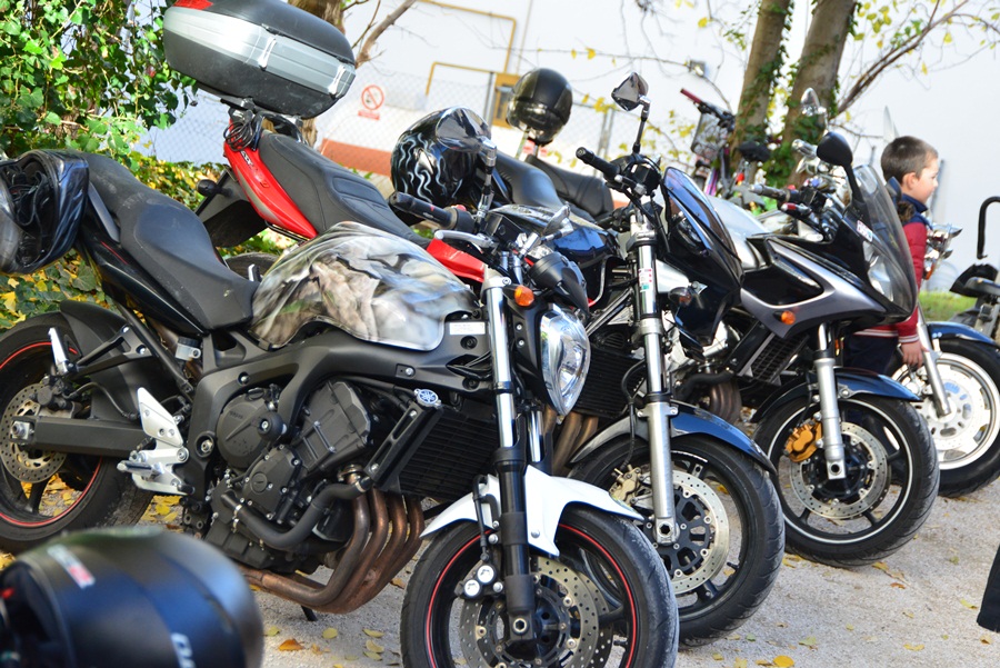 Zadarske Beštije posjetile mališane DV Latica, Foto: Iva Perinčić Zadarske Beštije posjetile mališane DV Latica, Foto: Iva Perinčić