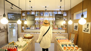 Posjet Solani Nin i Kraljevskim vinogradima u Petrčanima