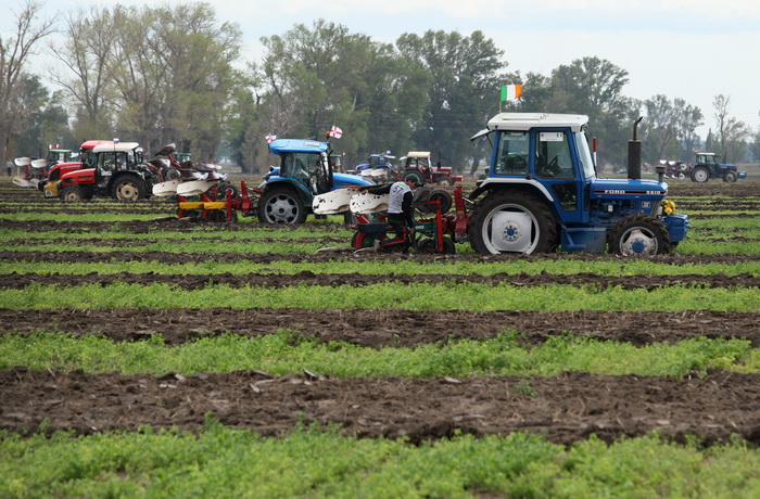 Jankolovica, Biograd, 150912. 
U Jankolovici kraj Biograda odrzan je drugi dan 59. Svjetskog prvenstva u oranju. Ovo natjecanje u oranju odrzava se od 1953. godine, a Hrvatska se ukljucila 2005. godine.
Na fotografiji: detalj s manifestacije. 
Foto: Jure