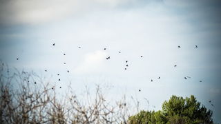 Nedjeljni đir do Parka prirode Vransko jezero i vidikovca Kamenjak, foto: Iva Perinčić Nedjeljni đir do Parka prirode Vransko jezero i vidikovca Kamenjak, foto: Iva Perinčić