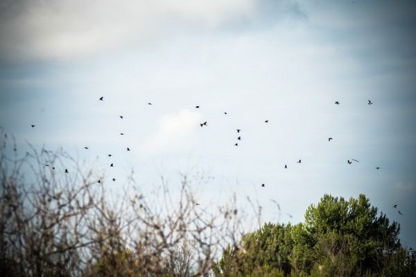 Nedjeljni đir do Parka prirode Vransko jezero i vidikovca Kamenjak, foto: Iva Perinčić Nedjeljni đir do Parka prirode Vransko jezero i vidikovca Kamenjak, foto: Iva Perinčić