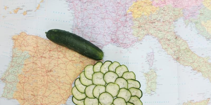 Escherichia coli Escherichia coli