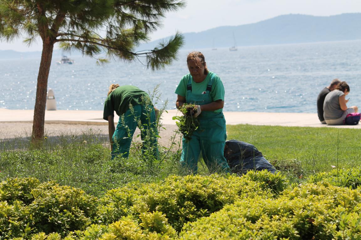 Đir po gradu 17. kolovoza 2016. Đir po gradu 17. kolovoza 2016.