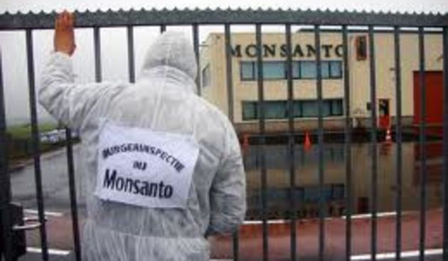 monsanto, foto: asustainablecity.com