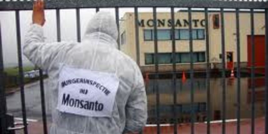 monsanto, foto: asustainablecity.com monsanto, foto: asustainablecity.com