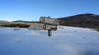 16.03.2014., Juzni Velebit – Topljenje snijega na Juznom Velebitu i procvjetani prvi planinski cvjetovi u ranom proljecu najavljuju skorasnje toplije vrijeme. Photo: Filip Brala/PIXSELL Autor Filip Brala/PIXSELL Ključne riječi rekreacija, planina, pro 16.03.2014., Juzni Velebit – Topljenje snijega na Juznom Velebitu i procvjetani prvi planinski cvjetovi u ranom proljecu najavljuju skorasnje toplije vrijeme. Photo: Filip Brala/PIXSELL Autor Filip Brala/PIXSELL Ključne riječi rekreacija, planina, pro