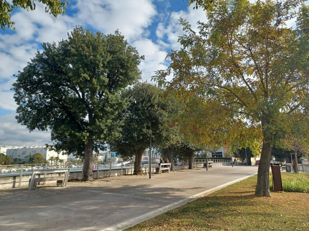 Zadarska šetnica s najlipšim pogledom u jesen je idealna za predah i “punjenje baterija” Zadarska šetnica s najlipšim pogledom u jesen je idealna za predah i “punjenje baterija”