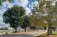 Zadarska šetnica s najlipšim pogledom u jesen je idealna za predah i “punjenje baterija” Zadarska šetnica s najlipšim pogledom u jesen je idealna za predah i “punjenje baterija”