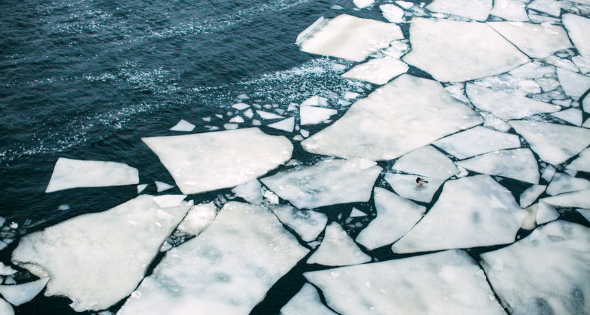 Arktik led Arktik led