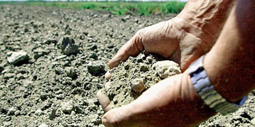 Suša je iscrpila zemlju, uroda neće biti, ali sada stiže nova prijetnja: stabla voćaka bi se mogla potpuno osušiti / CROPIX Suša je iscrpila zemlju, uroda neće biti, ali sada stiže nova prijetnja: stabla voćaka bi se mogla potpuno osušiti / CROPIX