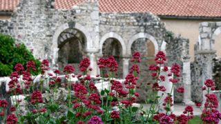 Đir p Rabu Đir p Rabu