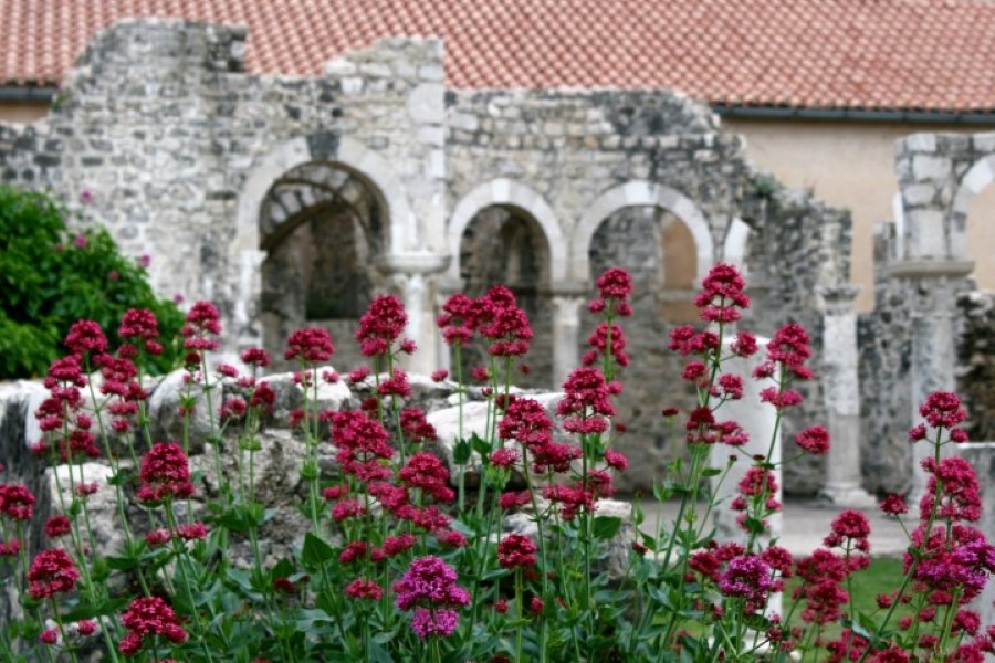 Đir p Rabu Đir p Rabu