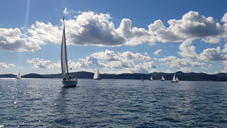 Zadarska Koka 2016. 22. listopada 2016. Foto: Mladen Malik Zadarska Koka 2016. 22. listopada 2016. Foto: Mladen Malik