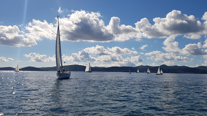 Zadarska Koka 2016. 22. listopada 2016. Foto: Mladen Malik Zadarska Koka 2016. 22. listopada 2016. Foto: Mladen Malik