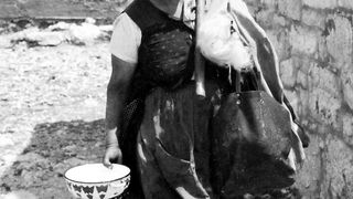 Image 1192099 (auto)