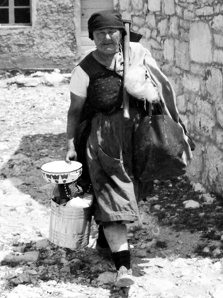 Image 1192099 (auto)