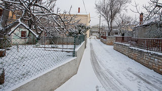 Snijeg u Bibinjama 3. veljače 2012, Foto: Leo Banić