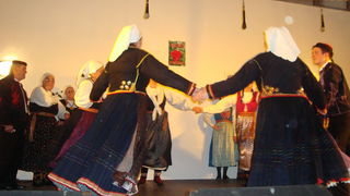 Koncert u Briševu Koncert u Briševu