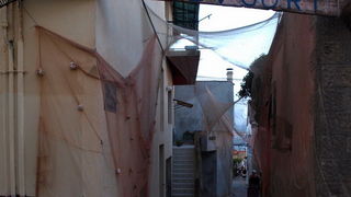 Kualjska tunuara 2010, Foto: Vedran Penga