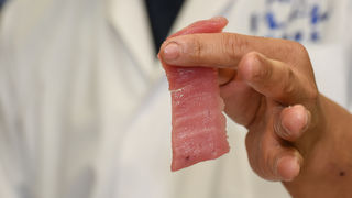 Tuna, sushi and wine radionica Tuna, sushi and wine radionica