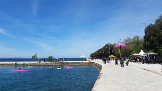 Otvorena 2. Vrtna izložba “Cvijet Zadra”. Foto: Mladen Malik