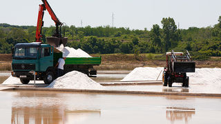 Solana Nin, berba soli, foto: Leo Banić