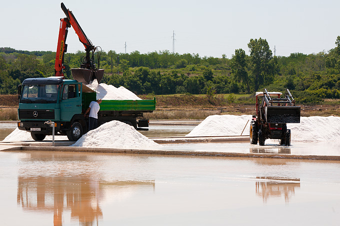 Solana Nin, berba soli, foto: Leo Banić
