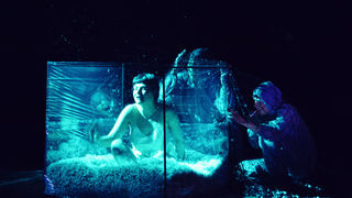 Žene – Svestranost