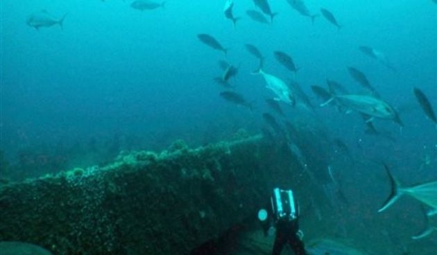 Ronilac, Foto: AP Photo