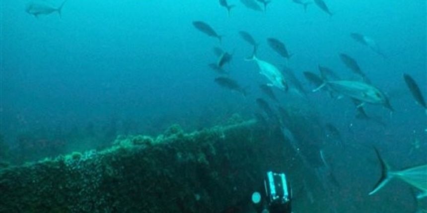 Ronilac, Foto: AP Photo