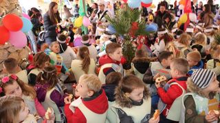 Virski Karnevalić 2017.